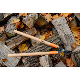 V SERIJOS MEDIENOS SODININKYSTĖS ŠAKŲ GRENTUOKLIS -KT-V1215