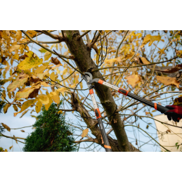 Teleskopinis aliuminio genėtuvas V-SERIES-P, su prailgintu ašmenimis -KT-V1250