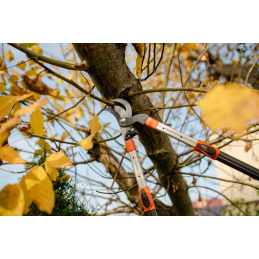 Teleskopinis aliuminio genėtuvas V-SERIES-P, su prailgintu ašmenimis -KT-V1250