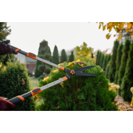 Aliuminio teleskopinės gyvatvorių žirklės V serijos tiesiomis ašmenimis -KT-V1141