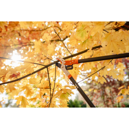 Aliuminio šakų genėtuvas su V-SERIES-D pavara, priekalo ašmenimis -KT-V1230