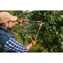 Teleskopinis aliuminio genėtuvas su V-SERIES-D pavara, priekalo ašmenimis -KT-V1240