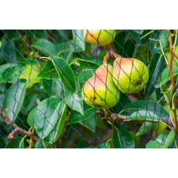 Austas apsauginis paukščių tinklas DIAMOND 20g/m2 -AS-BN20151510050