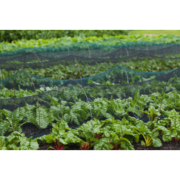 Austas apsauginis paukščių tinklas DIAMOND 20g/m2 -AS-BN20151510050