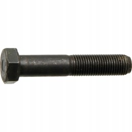 Švaistiklio varžto korpusas ih 38002968 granitas