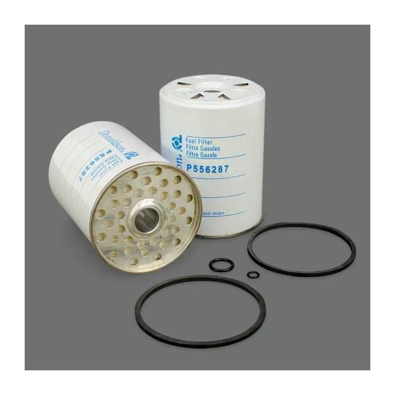 P556287 Donaldsono kuro filtras