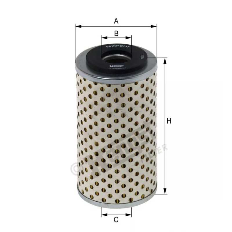 E81KP D137 Hengst kuro filtro įdėklas