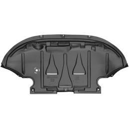 Audi A6 S5 C5 BENZINAS DYZELINAS 2002-2004 Variklio dangtis REZAW 150106