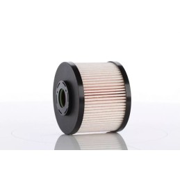 WP1521X PZL SĘDZISZÓW KURO FILTRO ELEMENTAS