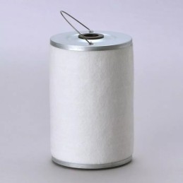 P502131 DONALDSON DEGALŲ FILTRAS, KASETĖ