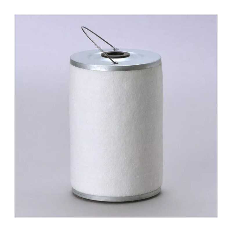 P502131 DONALDSON DEGALŲ FILTRAS, KASETĖ