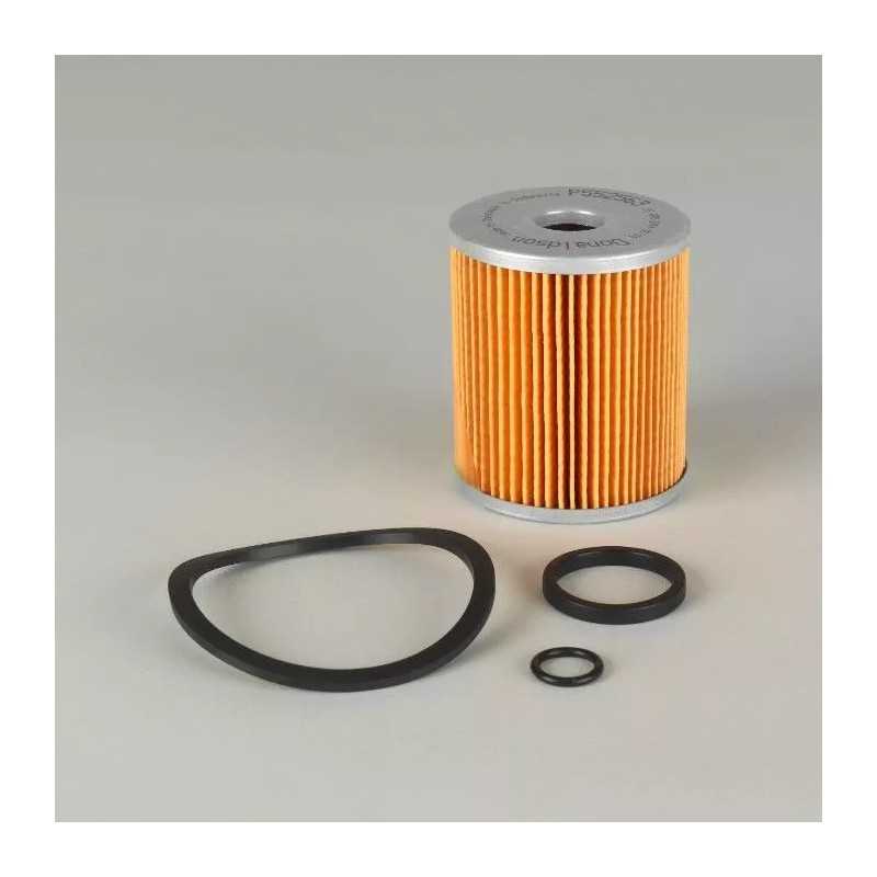 P552563 DONALDSON DEGALŲ FILTRAS, KASETĖ