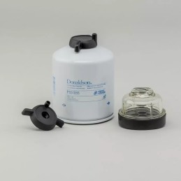 P559108 DONALDSON DEGALŲ FILTRO RINKINYS