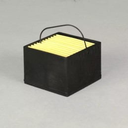 P954555 DONALDSON DEGALŲ FILTRAS, DĖŽUTĖ