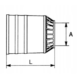 Sumažėjusios tujos bondioli pavesi viršelis