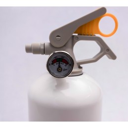 Buitinis gesintuvas 1 kg ABF