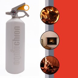 Buitinis gesintuvas 1 kg ABF