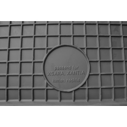 Citroen Xsara Picasso 2000-2010 Guminiai kilimėliai DOMA 213797