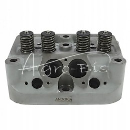 Variklio galvutė pilna c 330m Andoria mot