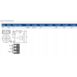 Stūmoklis new Holland t4000 t5000 tsa korpusas jx 8094740 c
