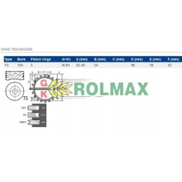 Stūmoklis new Holland t4000 t5000 tsa korpusas jx 8094740