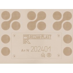 Lexus RX II XU30 2003-2008 m. Guminiai kilimėliai REZAW BEIGE 202401/B