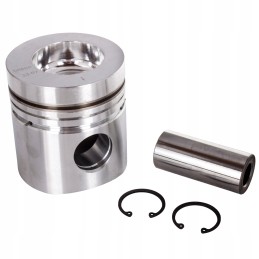 Stūmoklio kaištis 100 mm standartinis korpusas 844 845 885 895