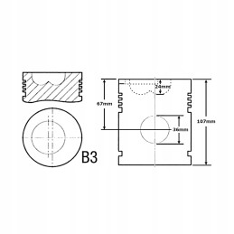 Stūmoklio kaištis 100 mm standartinis korpusas 844 845 885 895