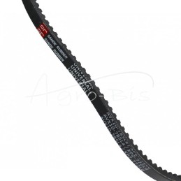 Dantinis diržas XPZ-772 AVX10-785 - XPZ-772