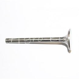 Variklio išmetimo vožtuvas 80005015 Ursus C-385 - 89005902