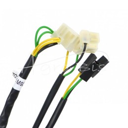 MF3 priekinių žibintų spindulys - 1678405M91