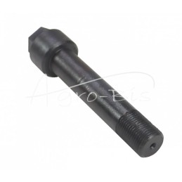 Zetor priekinės ašies varžtas Lenkijoje - 55113314/0