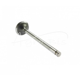 MF3 ANDORIA išmetimo vožtuvas, - 31431941AM