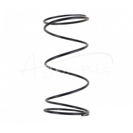 Galinio tilto blokavimo sankabos galinės pavaros spyruoklė Ursus C-360 ANDORIA - 50425180AM/