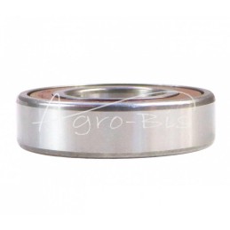 Ekranuotas vienos eilės rutulinis guolis 6206 2RS NSK - 6206 2RS FŁT