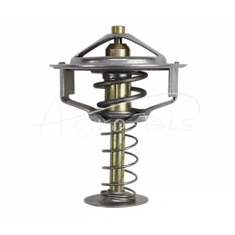 Ursus C-360 importuojamas termostatas - 5051309/T