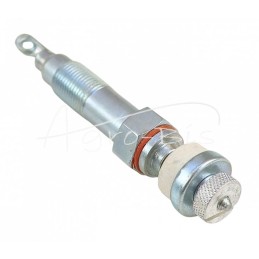 Korpuso kaitinimo žvakė - 710348R1