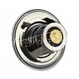 MF TV-26.82 K208039 termostato importas - 2485C022/imp