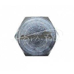 Alyvos išleidimo kamštis su magnetu 46784160 M30*1.5 ANDORIA - 46418230AM/