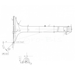 MF4 ANDORIA įsiurbimo vožtuvas, - 31431641AM