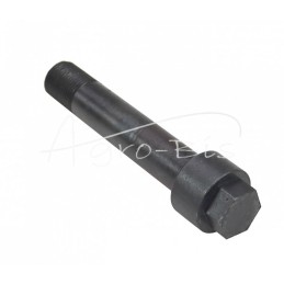 Zetor priekinės ašies varžtas Lenkijoje - 55113314/0