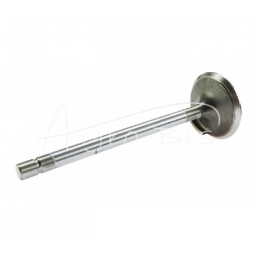 IMT ANDORIA įsiurbimo vožtuvas, - 4659379AM