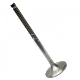 SW-400 Bizon Turbo variklio įsiurbimo vožtuvas - PLA2584K