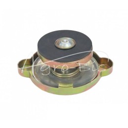 Ursus C-360 poliruotas radiatoriaus dangtelis - 5041361/POLSKI