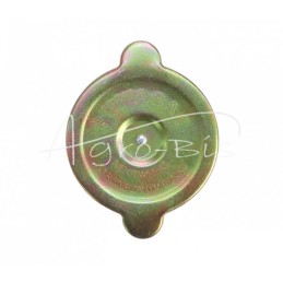 Ursus C-360 poliruotas radiatoriaus dangtelis - 5041361/POLSKI