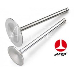 CASE D179 Paradowscy išmetimo vožtuvas 3055056R1 - 3055056R1