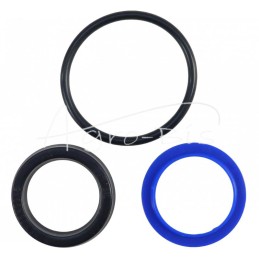 Kombaino „Bizon Z-056 PZL HYDRAL“ grėblio ritės CN2B3-25/H kėlimo cilindro sandarinimo komplektas - F160H