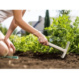 Kaplė PASTEL ERGO - 42-027