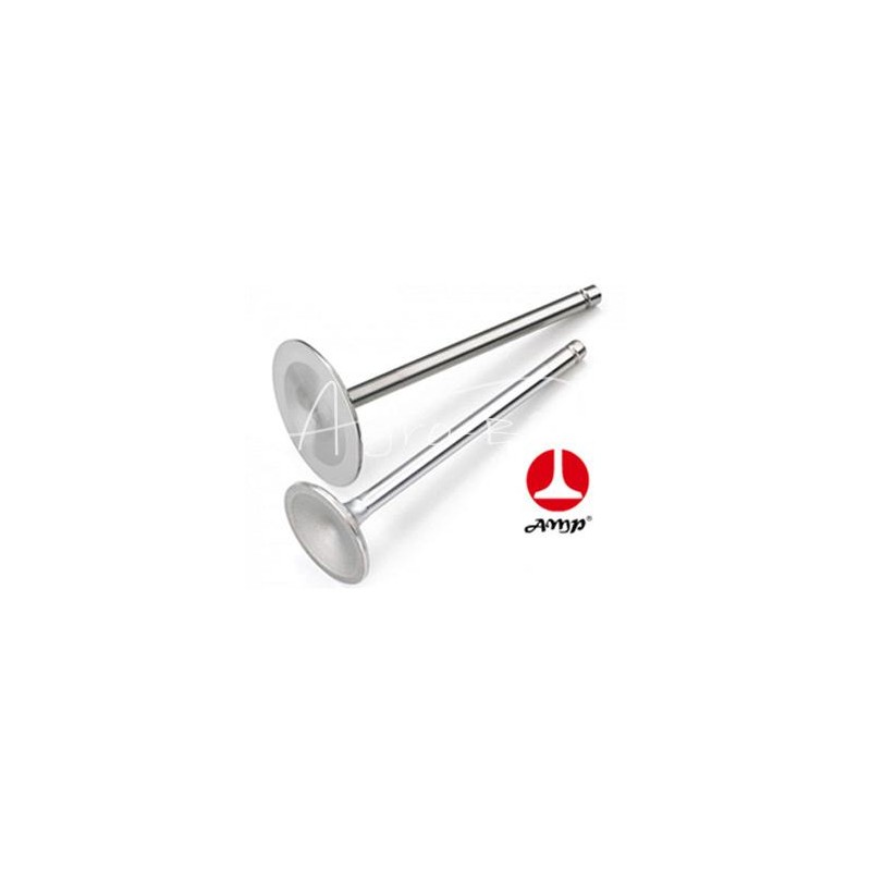 Įsiurbimo vožtuvas ZETOR 3320-7320 3340-7340 Paradowscy - 52020555