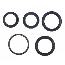 CJF-16-40/22/250Z pavarų dėžės pavaros sandariklių komplektas Bizon kombainui - K807